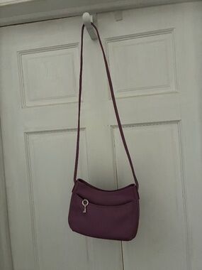 Fossil purse